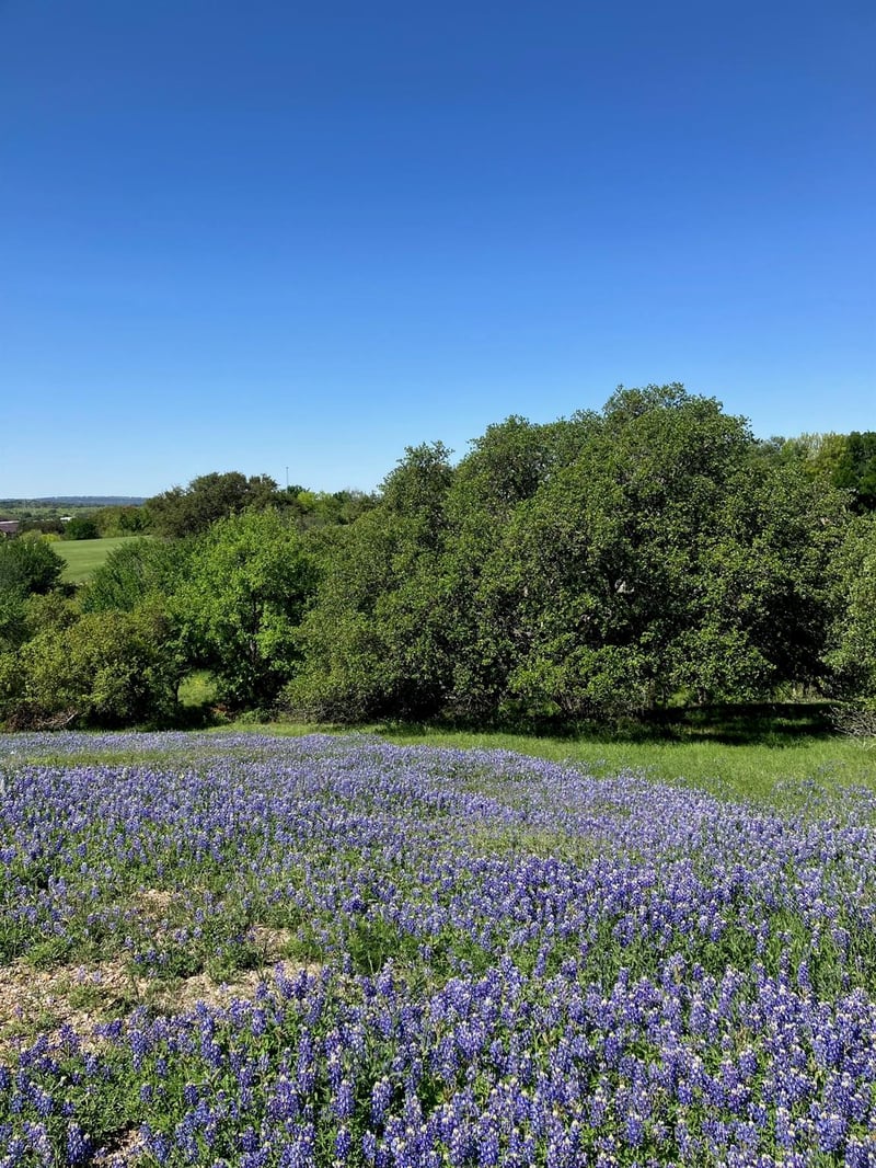 106 Ridgeway , Horseshoe Bay, TX 78657