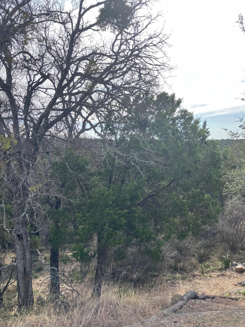 27125 Hi Mesa, Horseshoe Bay, TX 78657