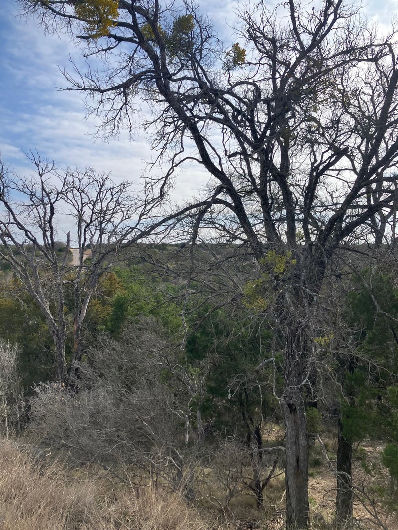 27125 Hi Mesa, Horseshoe Bay, TX 78657