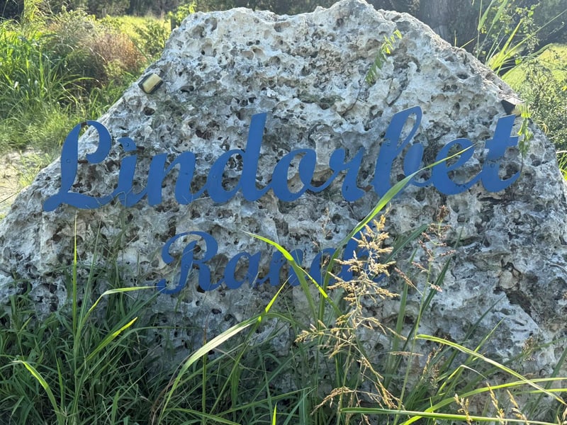 16 LINDORBET Lindorbet RD, Copperas Cove, TX 76522