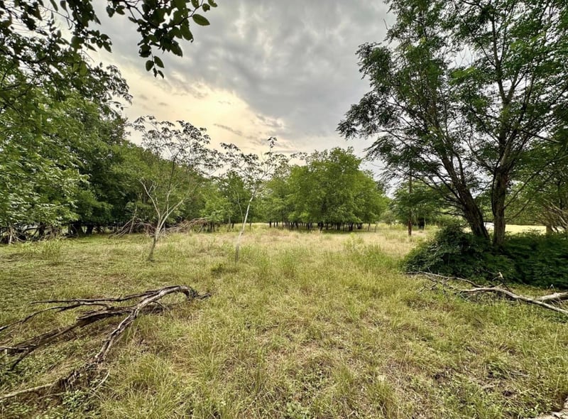 911 Penion DR, Austin, TX 78748