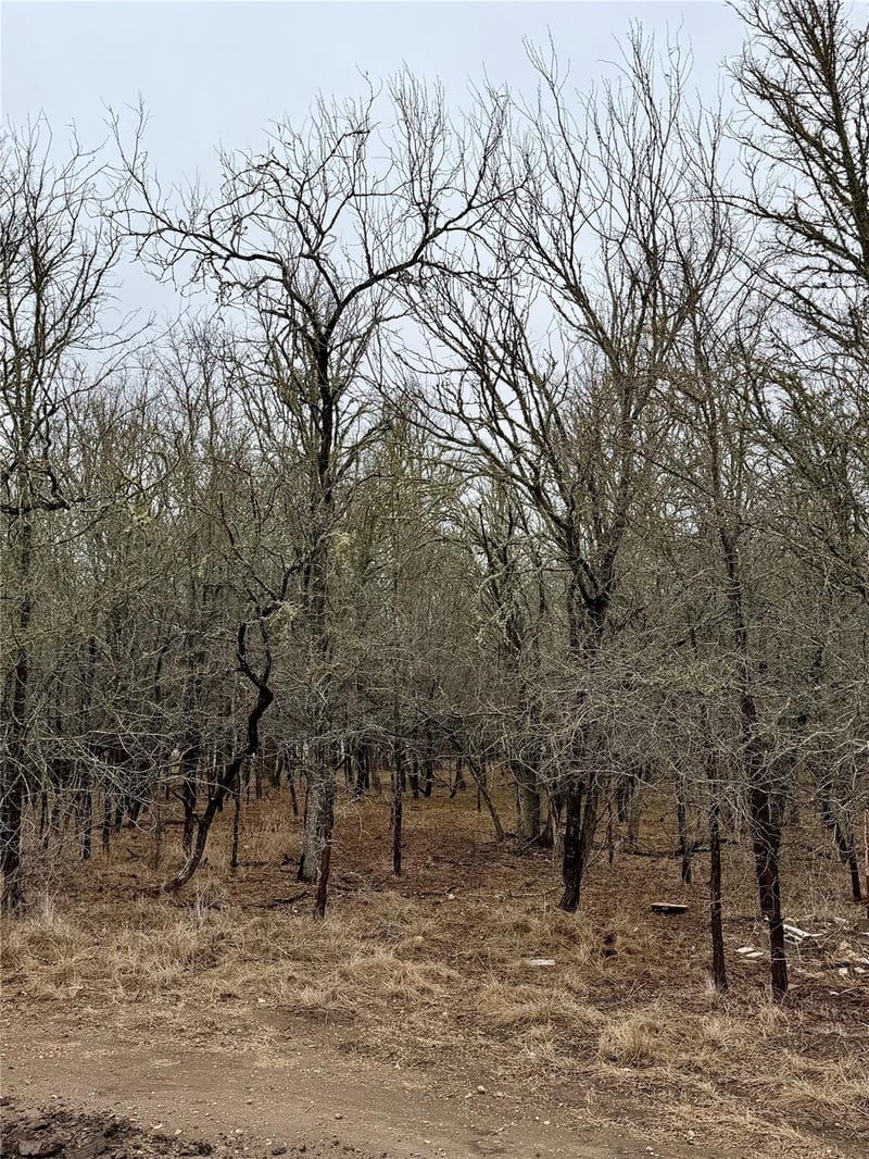 140 W Pauwela LN, Bastrop, TX 78602
