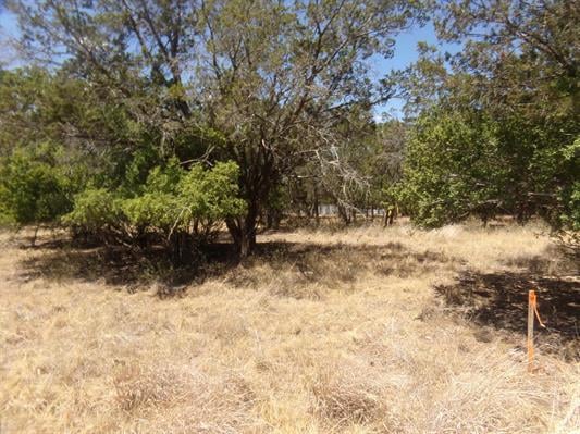 Lot 141 Pine Ln, Cottonwood Shores, TX 78657