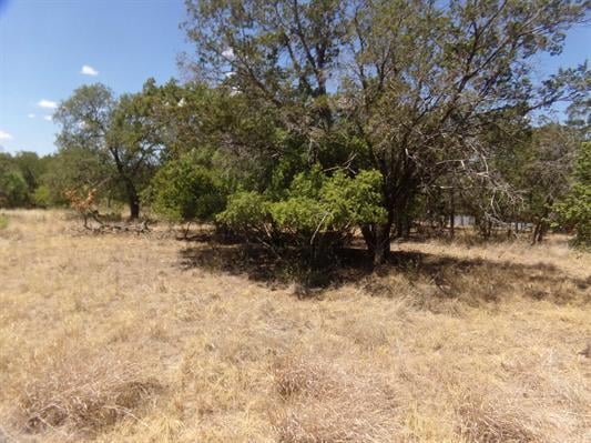 Lot 142 Pine Ln, Cottonwood Shores, TX 78657