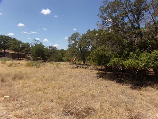 Lot 142 Pine Ln, Cottonwood Shores, TX 78657