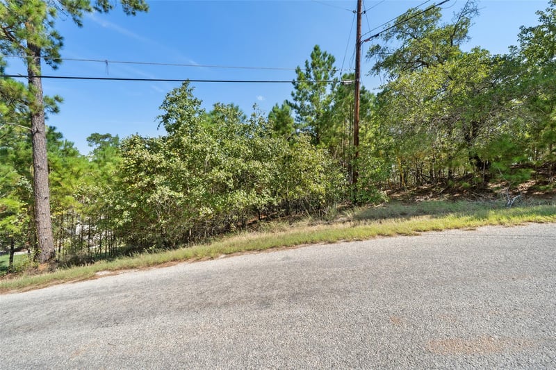 TBD 847 Mamalu DR, Bastrop, TX 78602