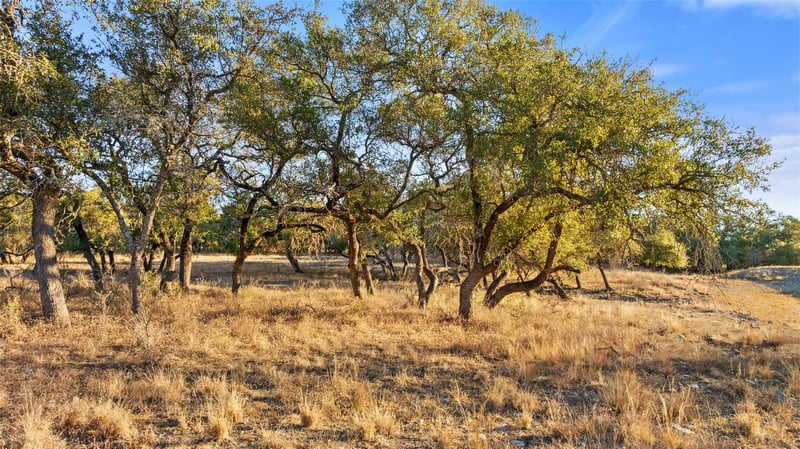 1422-10 Rm 2766 , Johnson City, TX 78636