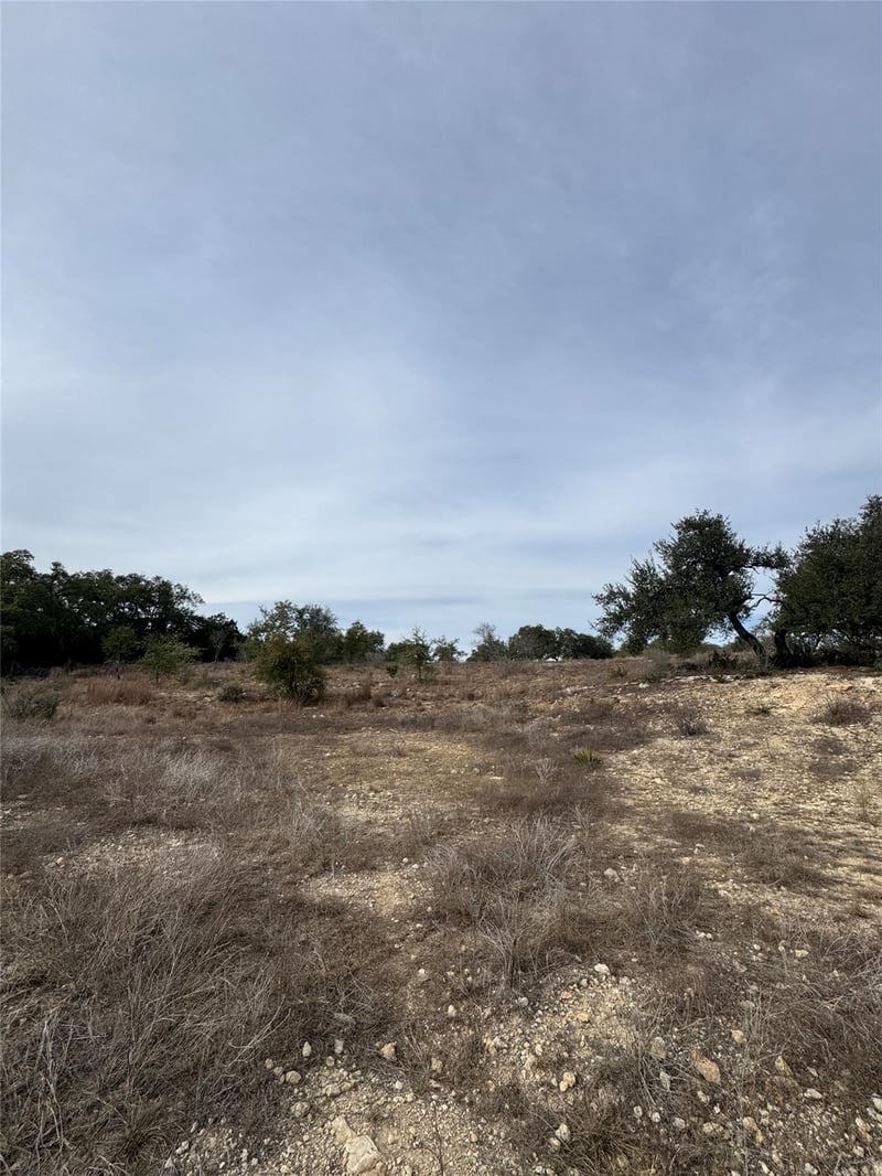 116 Legacy Hills DR, Johnson City, TX 78636
