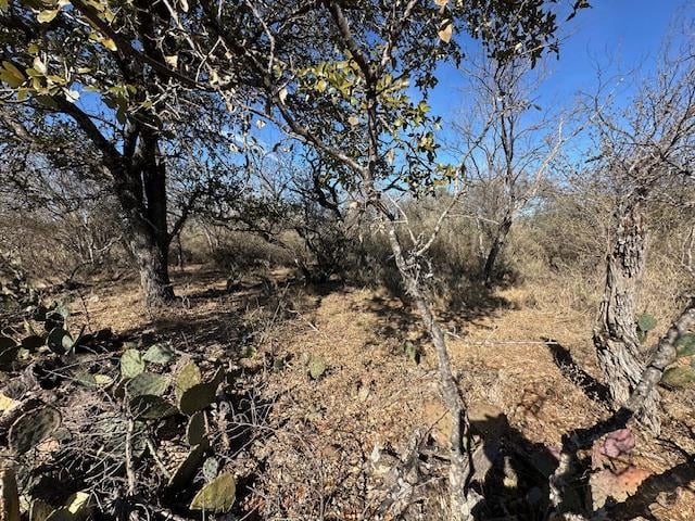 Tbd Cedar DR, Granite Shoals, TX 78654