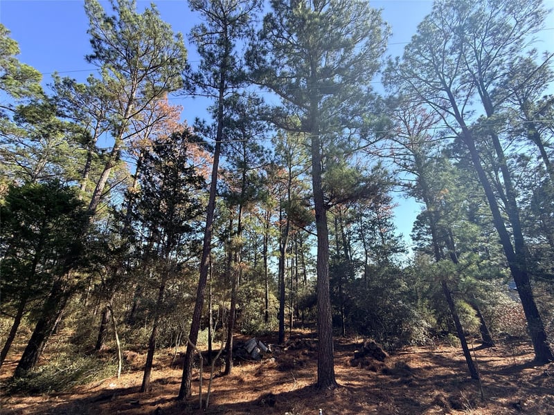 Lot 59 S Hill Ridge RD, Bastrop, TX 78602