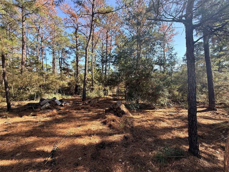 Lot 59 S Hill Ridge RD, Bastrop, TX 78602