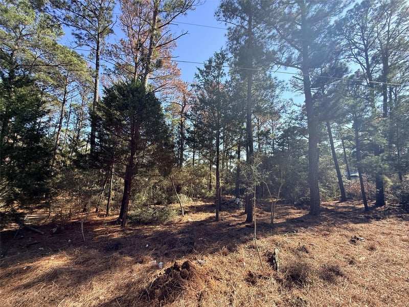 Lot 59 S Hill Ridge RD, Bastrop, TX 78602