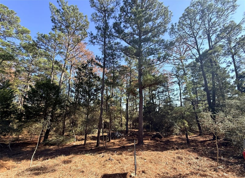 Lot 59 S Hill Ridge RD, Bastrop, TX 78602