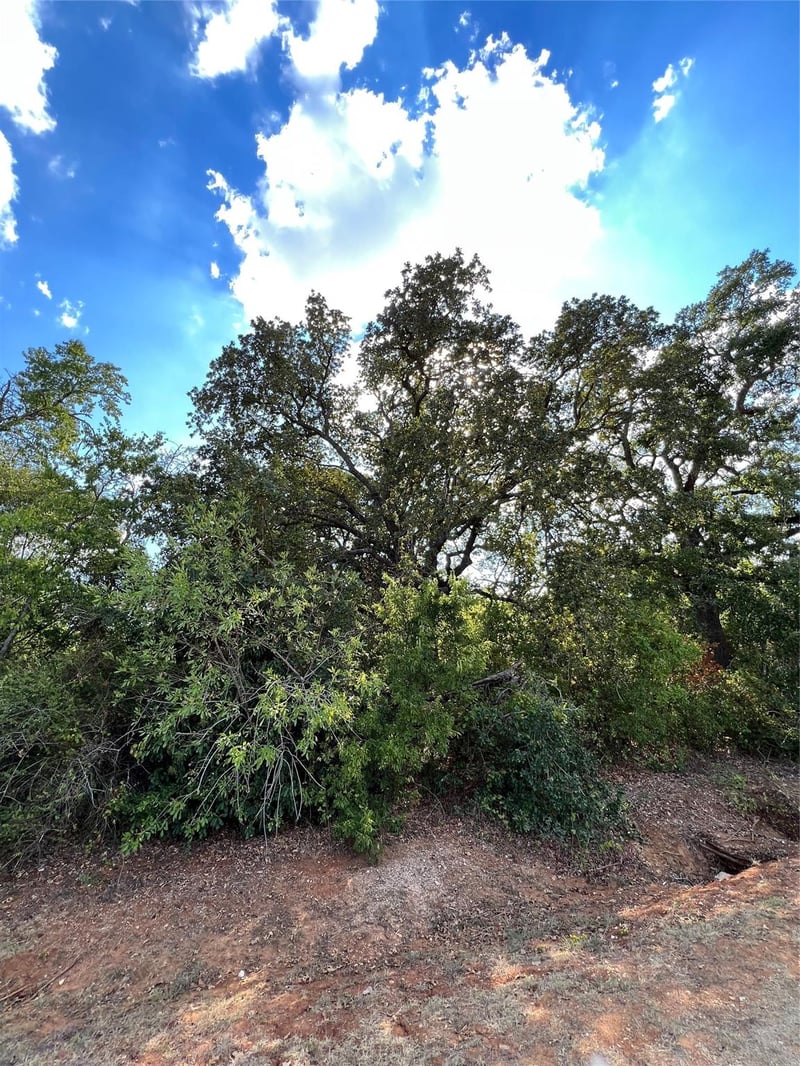 529 Madison ST, Elgin, TX 78621