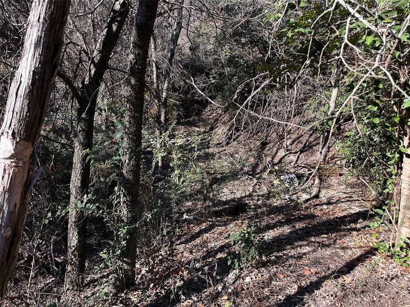TBD Cedar Valley CV, Austin, TX 78753