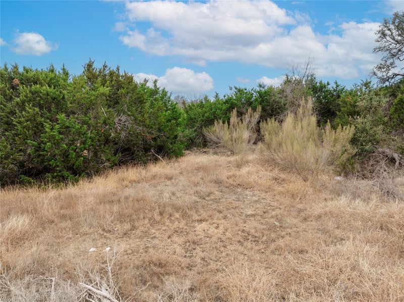 220 Lantana Bud TRL, Liberty Hill, TX 78642