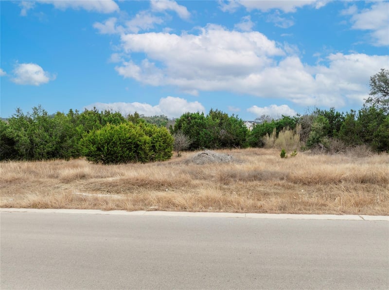 220 Lantana Bud TRL, Liberty Hill, TX 78642