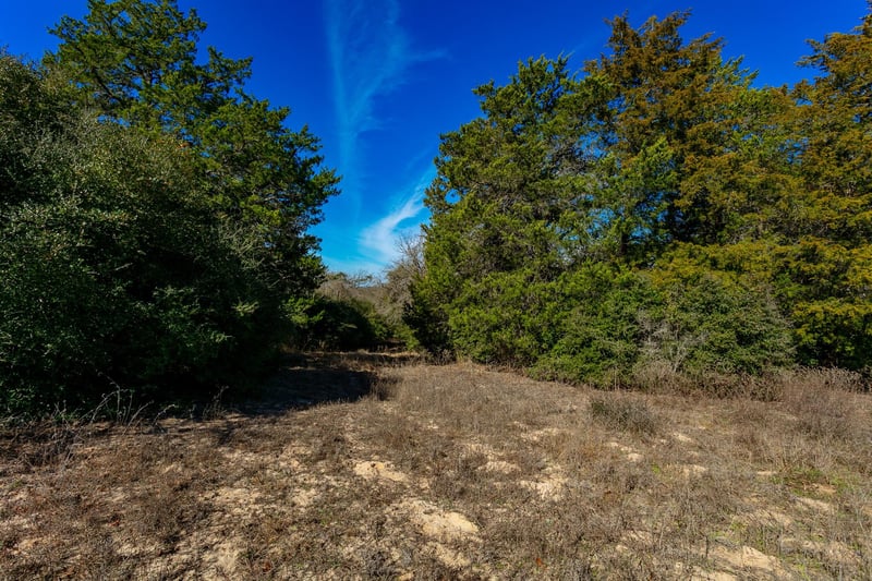10162 County Road 321, Caldwell, TX 77836