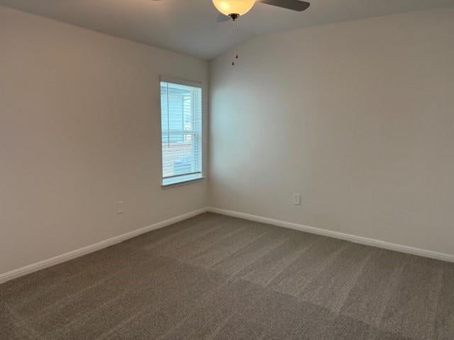 125 Maple Hedge RD, Hutto, TX 78634