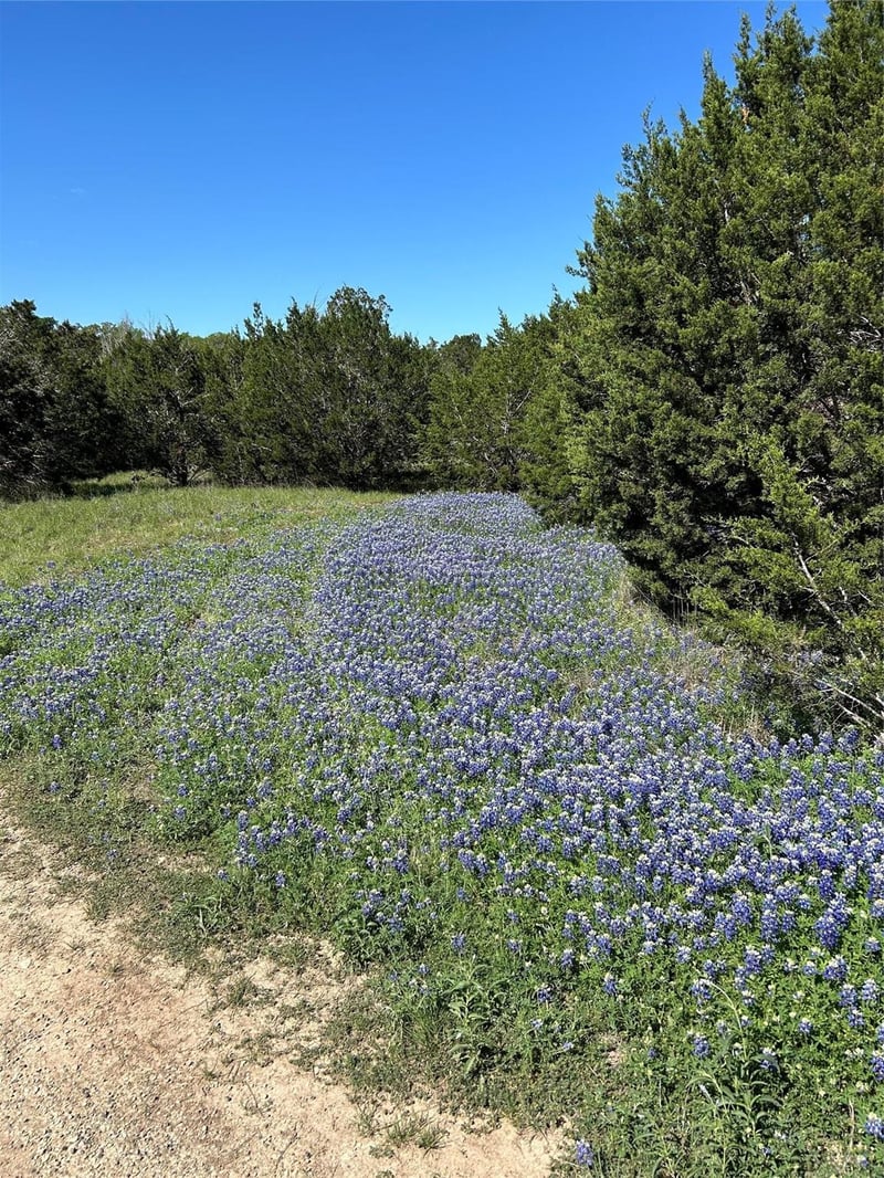 17 Heathrow LN, Wimberley, TX 78676