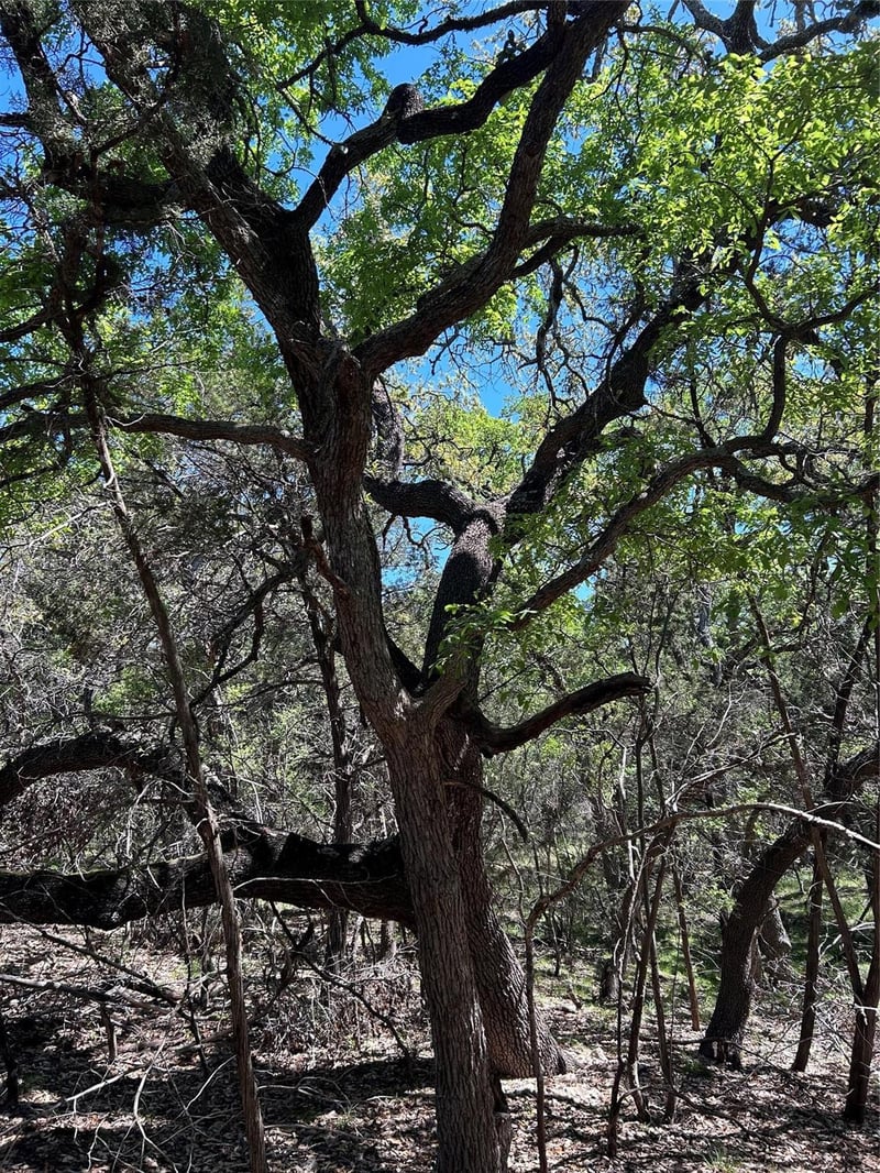 37 Heathrow LN, Wimberley, TX 78676