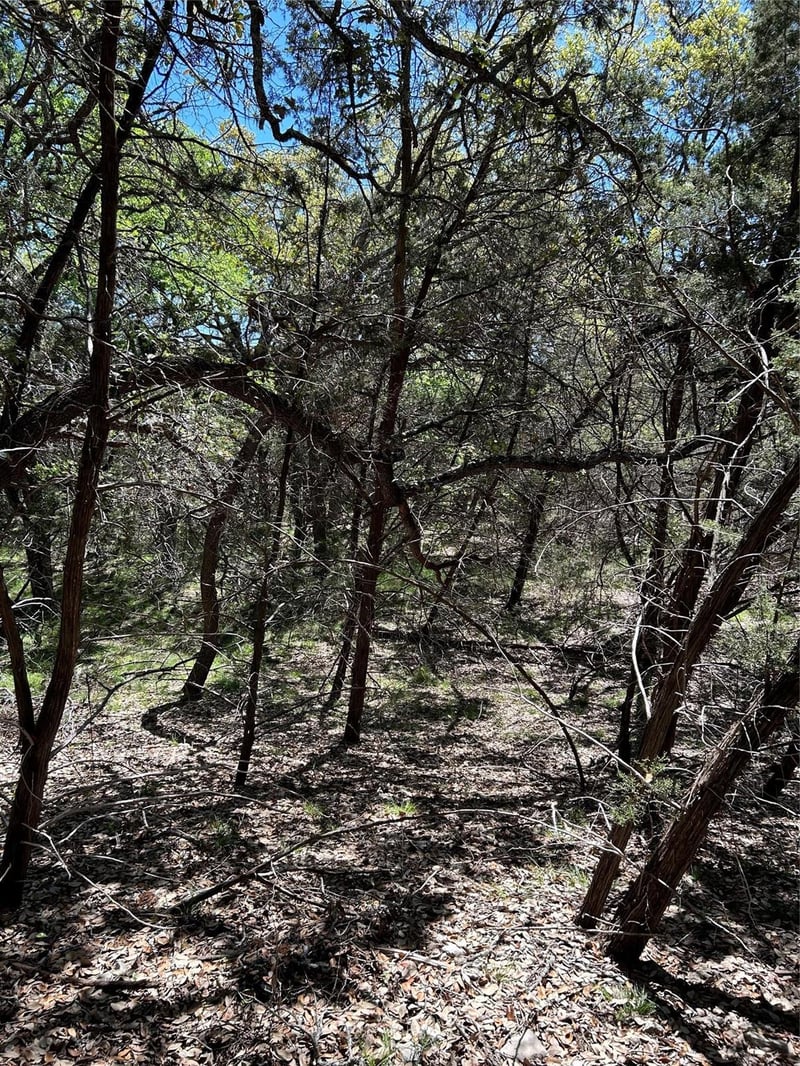 37 Heathrow LN, Wimberley, TX 78676