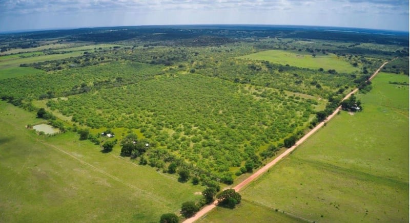 509 Sandy Lane RD, Mason, TX 76856