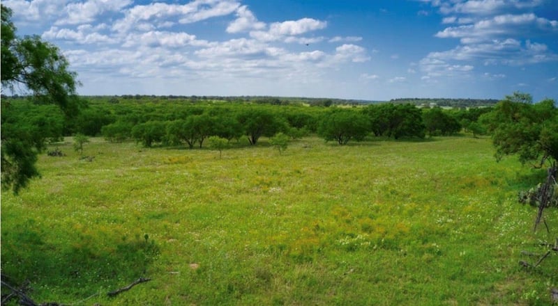 509 Sandy Lane RD, Mason, TX 76856