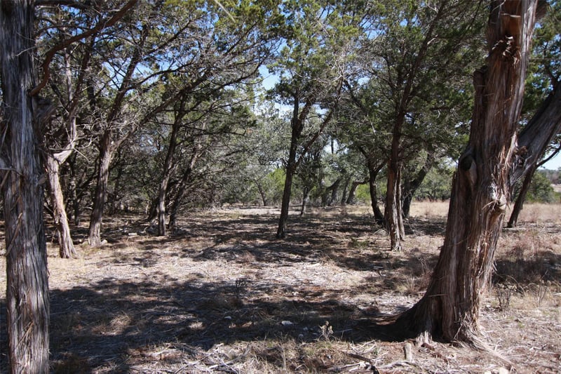 150 Patricks Way, Dripping Springs, TX 78620