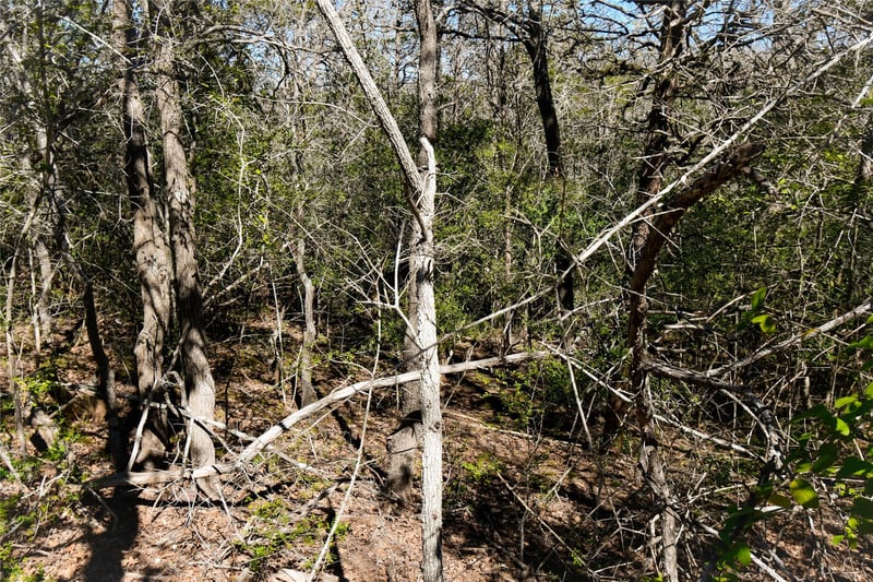 242 Iva LN, Bastrop, TX 78602