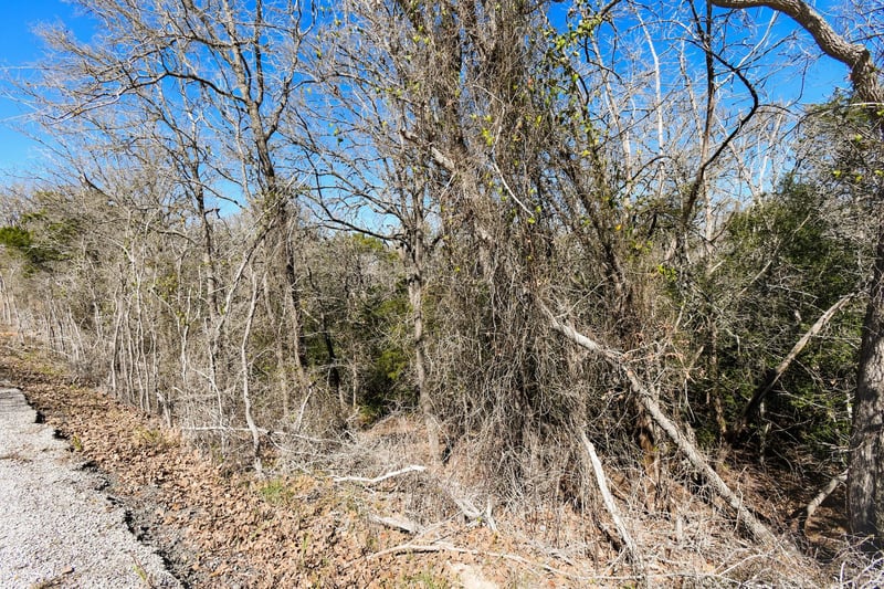 236 Iva LN, Bastrop, TX 78602