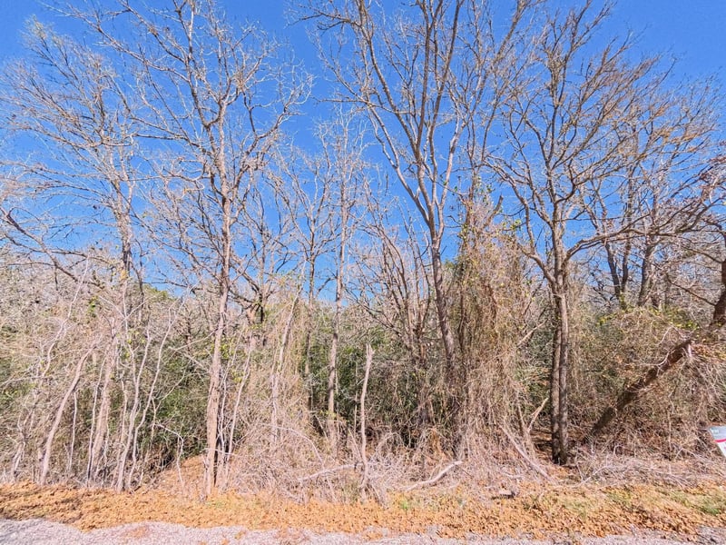 236 Iva LN, Bastrop, TX 78602