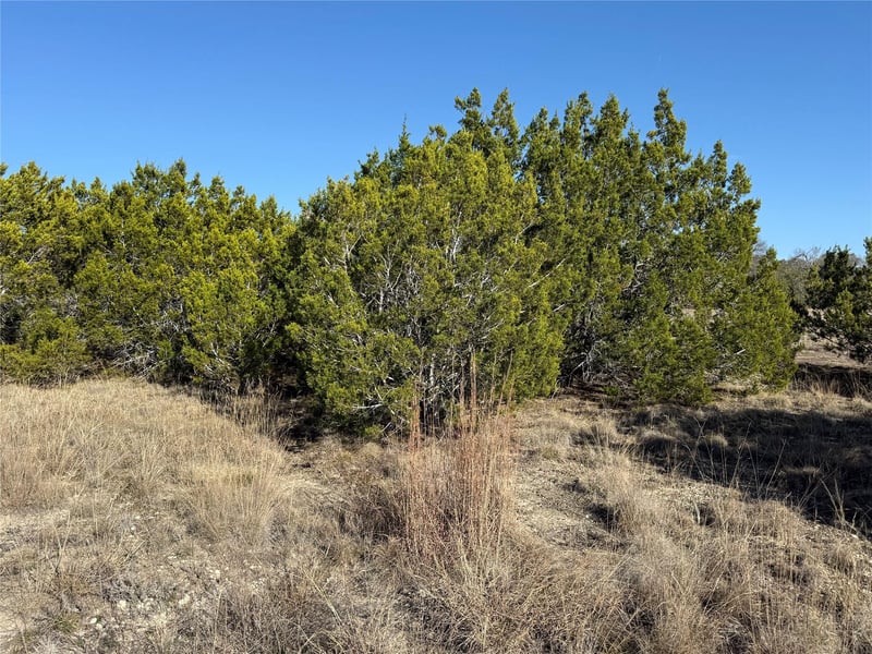 188 Whispering Wind RD, Bertram, TX 78605