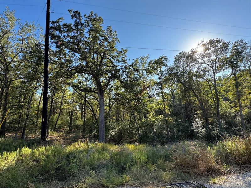 Lot 130 Wailupe CIR, Bastrop, TX 78602