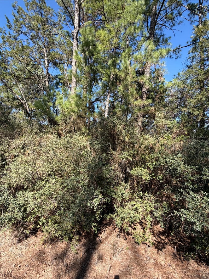 Lot 320 Keneka LN, Bastrop, TX 78602