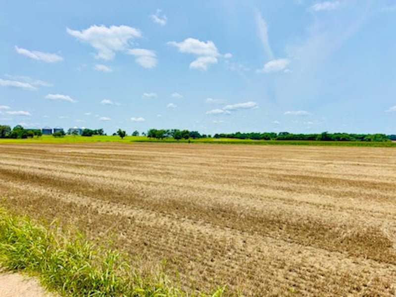 TBD1 Fm 406 , Buckholts, TX 76518