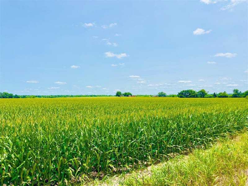TBD2 Cr 406 , Buckholts, TX 76518