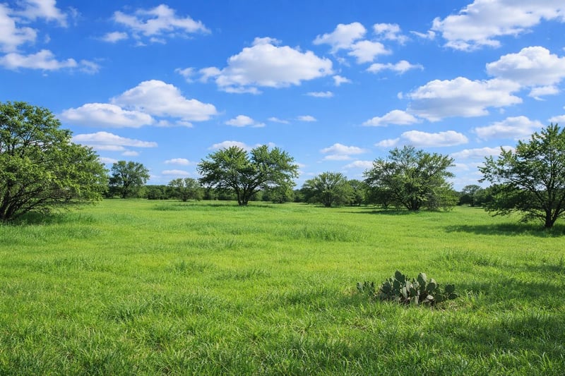 3809 Mormon Mill RD, Marble Falls, TX 78654