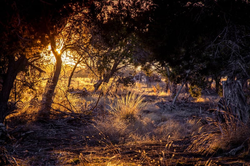 TBD Steitle RD, Fredericksburg, TX 78624