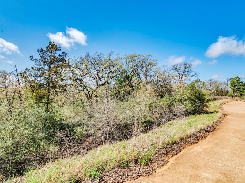 119 - 123 Mccarthy DR, Bastrop, TX 78602