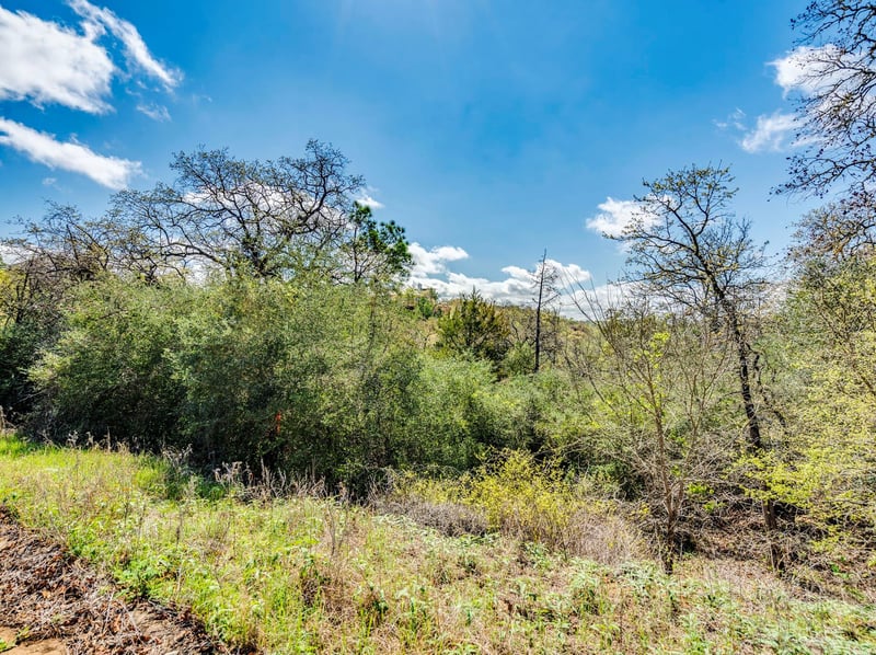 119 - 123 Mccarthy DR, Bastrop, TX 78602