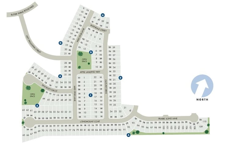 105 Rivendale ST, Liberty Hill, TX 78642