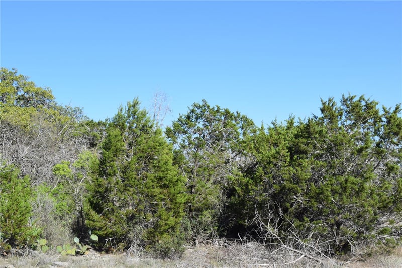 TBD Cheyenne TRL, Wimberley, TX 78676