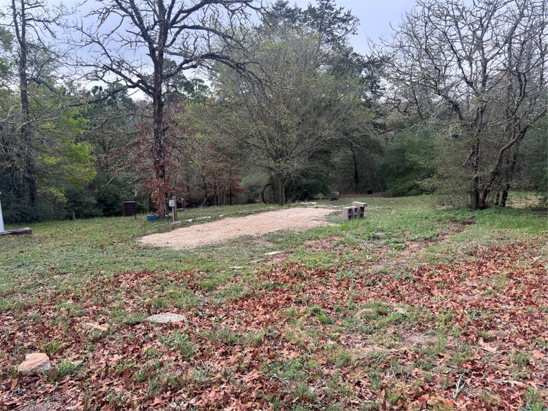 151 Cottletown RD, Smithville, TX 78957