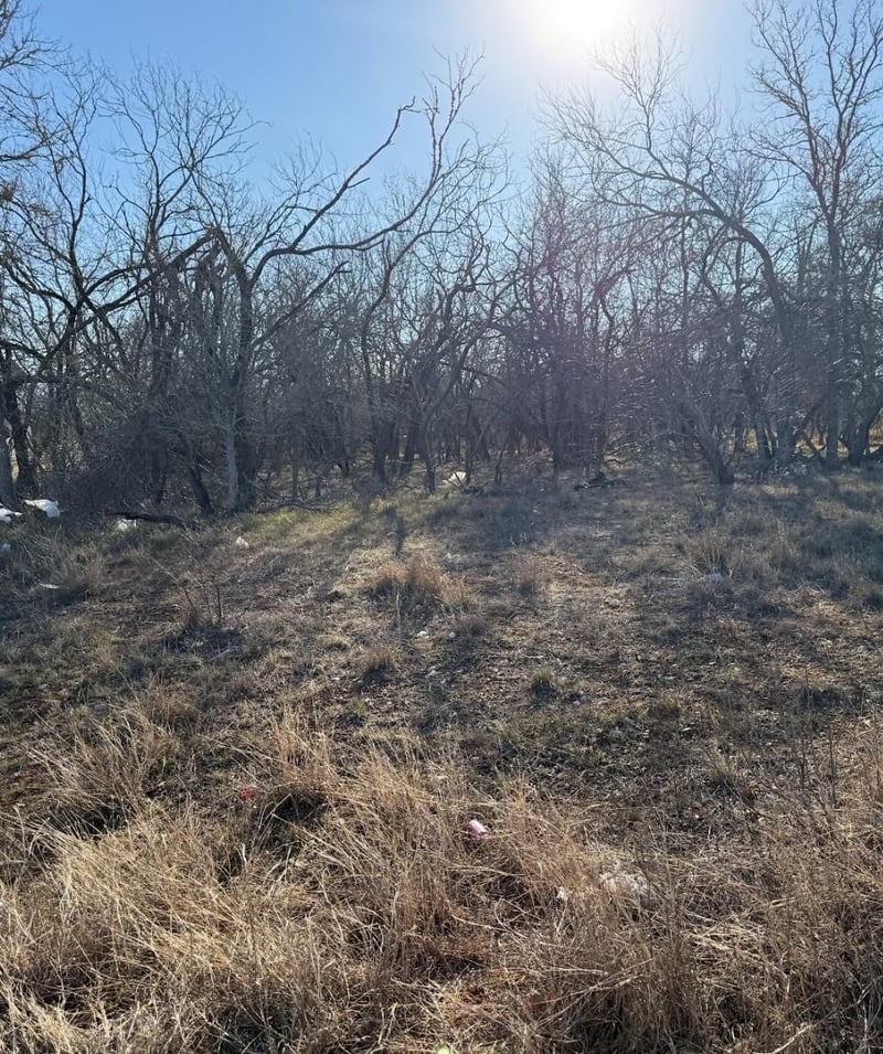 133 Chandler CV, Cedar Creek, TX 78612