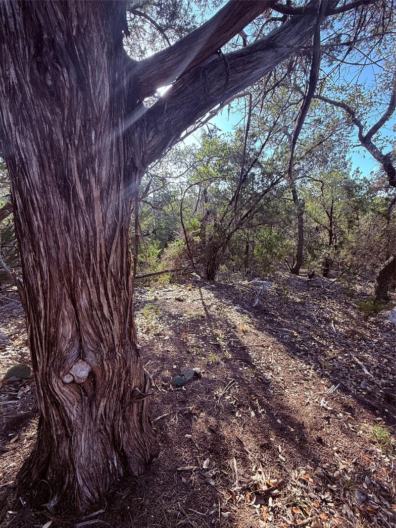 3600 Stagecoach Ranch Loop, Dripping Springs, TX 78620