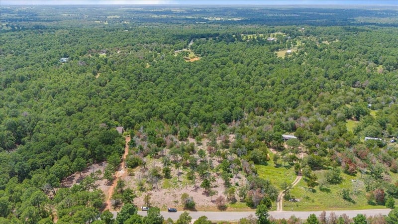 000 Pine Valley Loop, Smithville, TX 78957