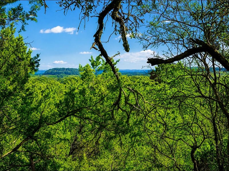 TBD LOT 20 Piedras Ps, San Marcos, TX 78666