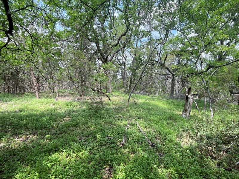 TBD LOT 20 Piedras Ps, San Marcos, TX 78666