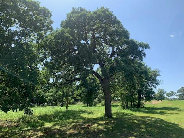 258 Colovista PKWY, Bastrop, TX 78602